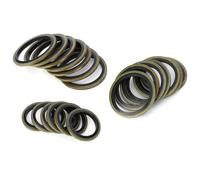 Eujgoov Juego de Juntas de Drenaje de Metal, Selección Versátil con 200 Piezas Kit de Junta de Enchufe de Drenaje de Cobre Rojo de Cobre Rojo para Conexiones de Tubería