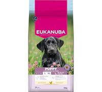 Eukanuba, alimento para Cachorros con Pollo Fresco para Razas Grandes, alimento seco Premium para Perros Junior, 15 kg