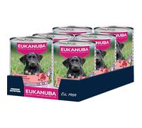 Eukanuba alimento para Cachorros húmedo con Vacuno y Calabaza, Comida húmeda Premium sin Cereales para Perros jóvenes, 6 latas de 400 g
