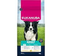 Eukanuba, alimento seco con Pollo Fresco para Razas Medianas, alimento seco Premium para Perros Adultos, 15 kg