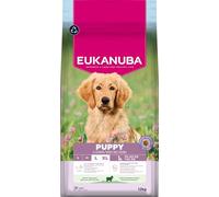 Eukanuba, alimento seco para Cachorros con Cordero y arroz para Razas Grandes, alimento seco Premium para Perros Junior, 12 kg