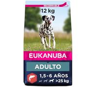 Eukanuba Alimento seco para Perros Adultos Grandes, Rico en Salmón y Cebada, 12 kg