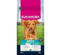 EUKANUBA Adult Large Breed Cordero y arroz 12 kg + sorpresa para el perro