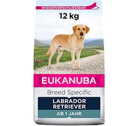 EUKANUBA Breed Specific Alimento Seco para Perros, Labrador Retriever, 12kg | Alimento seco premium | Alimento para perros óptimamente adaptado a la raza | Perros adultos