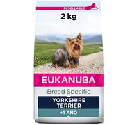 Eukanuba Breed Specific Alimento Seco para Perros, Yorkshire Terrier, 2kg | Alimento seco premium | Alimento para perros óptimamente adaptado a la raza | Perros adultos
