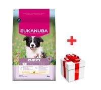 Eukanuba, alimento para Cachorros con Pollo Fresco para Razas Medianas, alimento seco Premium para Perros Junior, 3 kg