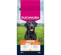Eukanuba Junior, alimento seco con Pollo Fresco para Razas Grandes, alimento seco Premium para Perros Junior en Crecimiento, 15 kg