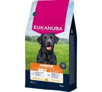 EUKANUBA Junior Large 15kg + sorpresa para el perro