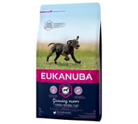 Eukanuba Puppy Large Breed - Saco de 15 Kg