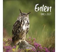 Eulen 2027: Broschürenkalender mit Ferienterminen. Eulen, Jäger der Nacht. 30 x 30 cm