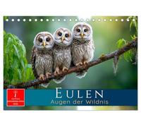 Eulen - Augen der Wildnis (Tischkalender 2026 DIN A5 quer), CALVENDO Monatskalender: Die faszinierenden Meister der lautlosen Flüge.