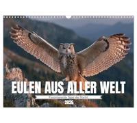 Eulen aus aller Welt - Faszinierende Jäger der Nacht (Wandkalender 2026 DIN A3 quer), CALVENDO Monatskalender: Majestätische Vögel der Nacht ... und einzigartiger Eulenporträts