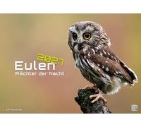 Eulen - Wächter der Nacht - 2027 - Kalender DIN A2: Der Wandkalender mit den schönsten Eulen-Motiven für das Jahr 2027 im extragroßen Format DIN A2 (ca. 60 x 42 cm)!