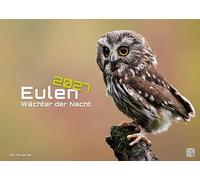 Eulen - Wächter der Nacht - 2027 - Kalender DIN A3: Der Wandkalender mit den schönsten Eulen-Motiven für das Jahr 2027 im Format DIN A3 (ca. 42 x 30 cm)!