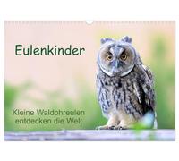 Eulenkinder - Kleine Waldohreulen entdecken die Welt (Wandkalender 2026 DIN A3 quer), CALVENDO Monatskalender: Süße Waldohreulenkinder begleiten Sie durch das Jahr
