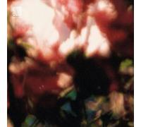 Euphonic Alliances Ltd - Peace Is It In You [Vinyl LP] [VINYL] [Vinilo]
