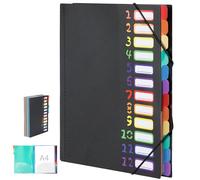 Euqvunn 12-Pocket Carpeta Clasificadora, Clasificador Documentos con Apertura Plana de 180°,Carpeta Organizadora con Banda Elástica, Black A4 Clasificador con Etiquetas Arcoíris para Oficina y Escuela