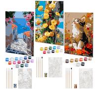 Euqvunn Pack de 3 Pintar por Numeros para Adultos con Marco, Kit de Pintura por Numeros DIY en Lienzo de 20x30 cm con Pinceles y Pinturas para Principiantes, Arte al Óleo para Decoración del Hogar