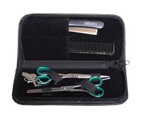 Euro Estilo Pelo tijeras Set Plus 5.5incl pulgadas 03267
