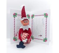 EUROAMZ Elfo Navidad Muñeco Travieso, con Carta, Certificado de Adopción y Acceso Premium Club Web, CREA la Magia de la Navidad con Esta Tradición