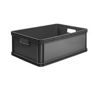 Eurobox Robusto Box keeper Robert asas de transporte caja de transporte estab...