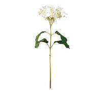 EUROCINSA Ref.14881C02 Hortensia Mariposa, Caja de 6uds, Marfil, 72cm