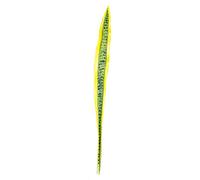 EUROCINSA Ref.20002C50 Hoja San SIVIERIA, Caja de 6uds, Verde, 90cm