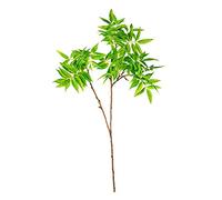 EUROCINSA Ref.40600C50 Rama DE Acacia Verde, Caja de 6uds, 95cm