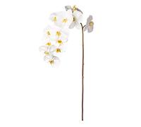 EUROCINSA Ref.43114C01 ORQUIDEA PHALAENOPSIS, Caja de 6uds, Blanco, 112cm