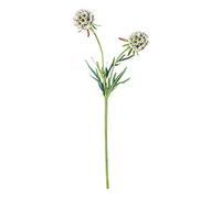 EUROCINSA Ref.43300C02 SCABIOSA DE 2 Flores MAFIL, Caja de 12uds, Marfil, 56cm
