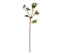 EUROCINSA Ref.64418C21 Rama con 5 CAPULLITOS DE PEONIA, Caja de 12uds, Rosa, 75cm