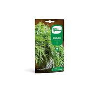 Eurogarden - Semillas Naturales de Eneldo, Planta culinaria aromática, 2 g - 6762