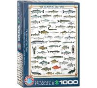 Eurographics 00312 - Freshwater Fish - Puzzle de 1000 Piezas