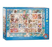 Eurographics EG60005529 Puzzle 1000 Pc-Laura's Seashell Collection, Varios