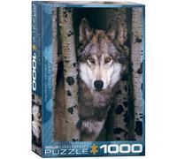 Eurographics Gray Wolf 1000-Piece Puzzle (Importación USA)