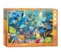 EuroGraphics Ocean Colors Jigsaw Puzzle (1000-Piece) (Importación USA)