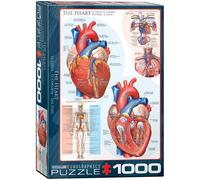 Eurographics Puzzle De 1000 Piezas The Heart 490 Mm X 680 Mm