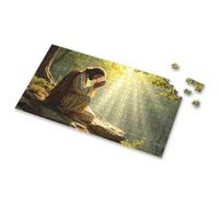 Eurographics Puzzles - Rompecabezas de 1000 piezas Una persona en túnicas se arrodilla junto a un arroyo sereno del bosque, bañado en luz dorada. Rompecabezas de imágenes para adultos, regalos de