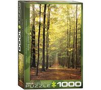 Puzzle 1000 molino de cristal 6000-5473