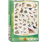 Eurographics Rompecabezas de 1000 Piezas Aves 680mm x 480mm
