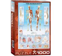 Rompecabezas De 1000 Piezas Del Cuerpo Humano 680Mm X 490Mm (Pz)