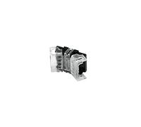 Eurolite 50530065 - Conector de tira LED (3 pines, 10 mm)
