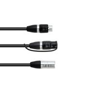EUROLITE Cable adaptador DMX IP XLR de 3 polos (M)/2 x IP XLR 3pol(F) | Adaptador de alta calidad para carretera