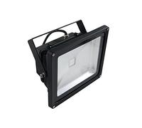 EUROLITE LED IP FL-30 COB UV