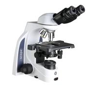 Euromex Microscopio iScope IS.1152-PLPHi, bino, PH, infinity, plan, 40x-1000x, iCare, LED