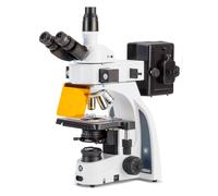 Euromex Microscopio iScope, IS.3153-PLi/3, trino