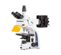 Euromex Microscopio iScope, IS.3153-PLi/6, trino