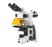 Euromex Microscopio iScope IS.3153-PLi/TB, trino, HF, FL, INFINITY, plano, 40x-1000x, 10x/22 mm, iCare, 3 W, LED