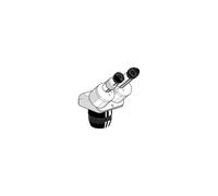Euromex Microscopio stereo zoom Cabezal estéreo EE.1523, binocular