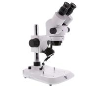 Euromex StereoBlue SB.1902-P, zoom, trípode de mástil, bino, 0,7x-4,5x